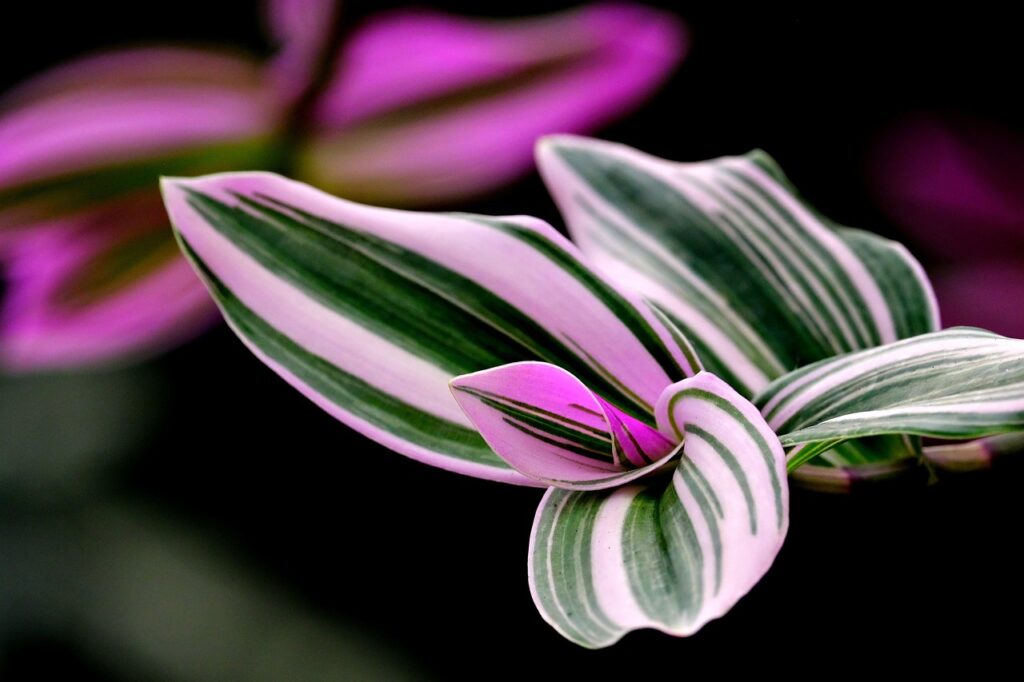 未経験者が知っておくべき志望動機の作り方は？