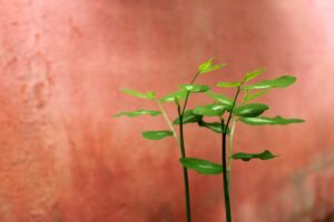 就活の不安を解消する方法は20代にどのように役立つ？