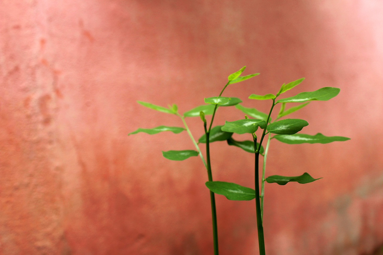 就活の不安を解消する方法は20代にどのように役立つ？