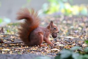 異業種転職における充実した研修がある企業の探し方は？