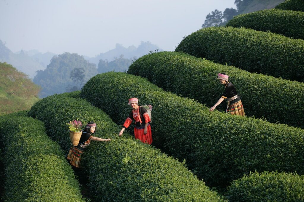 経験なしから事務職を目指すためのコツは？