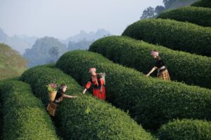 経験なしから事務職を目指すためのコツは？