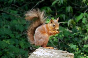 何もない未経験からの転職成功の秘訣は？