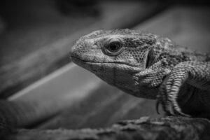 看護未経験者が語るリアルな体験談とは？